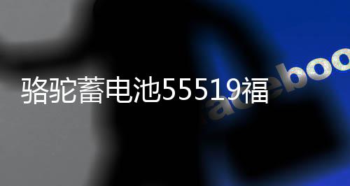 骆驼蓄电池55519福特福克斯嘉年华马自达3/2赛欧汽车电瓶12V55ah