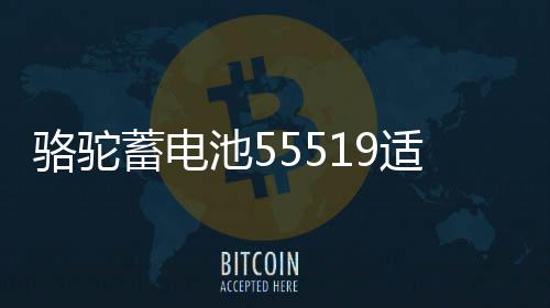 骆驼蓄电池55519适配福克斯传祺赛欧名爵汽车电瓶55ah 以旧换新