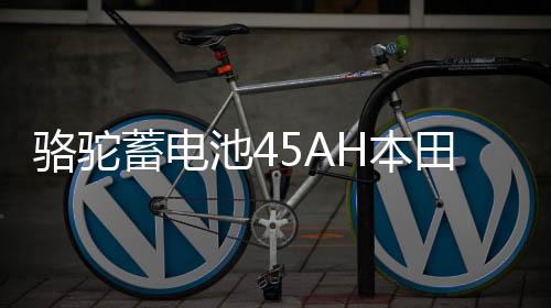 骆驼蓄电池45AH本田杰德凌派思域现代瑞纳/I30起亚K2适配汽车电瓶