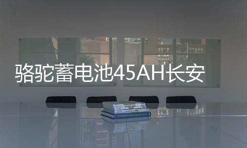 骆驼蓄电池45AH长安之星2东风小康K07S金杯小海狮X30原装汽车电瓶