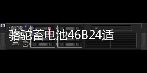 骆驼蓄电池46B24适配起亚K2现代瑞纳瑞奕雅绅特12V45ah汽车电瓶
