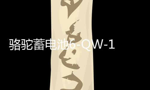 骆驼蓄电池6-QW-135适配东风货车铲车拖拉机汽车电瓶 以旧换新