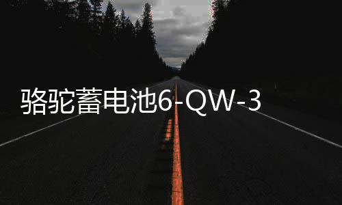 骆驼蓄电池6-QW-36适用于本田飞度哥瑞理念锋范铃木奥拓汽车电瓶B