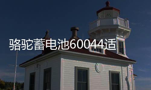 骆驼蓄电池60044适配宝马320/530/730/奔驰S级ML350汽车电瓶100AH