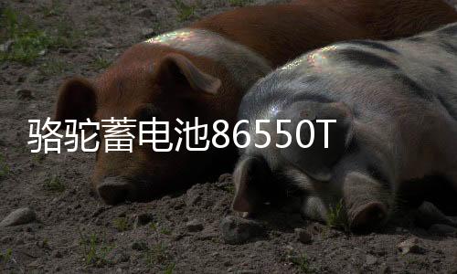 骆驼蓄电池86550T适配宝骏730 凯越指南者汽车电瓶55Ah 以旧换新