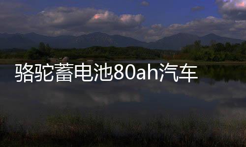 骆驼蓄电池80ah汽车启停电瓶适配雷克萨斯ES200/RX300RX200tRX350