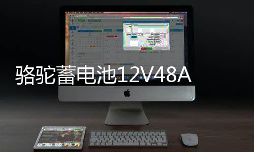 骆驼蓄电池12V48AH适配五菱荣光之光北汽58500低温强劲汽车电瓶