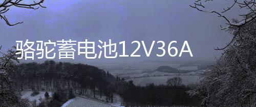 骆驼蓄电池12V36AH汽车电瓶适配铃木奥拓锋范背机旋耕机三轮车1DF