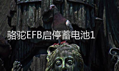 骆驼EFB启停蓄电池12V70AH奥迪Q3A3高尔夫7领动英朗途观L汽车电瓶