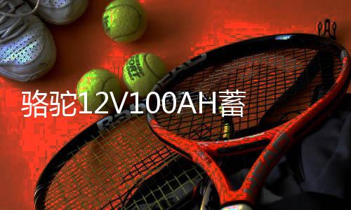 骆驼12V100AH蓄电池货车三轮拖拉机柴油车发电机低温强劲汽车电瓶