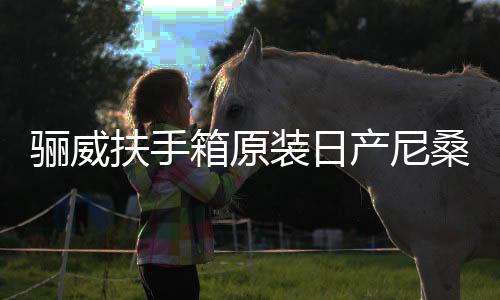 骊威扶手箱原装日产尼桑骏逸俊逸汽车中央专用手扶箱改装配件用品