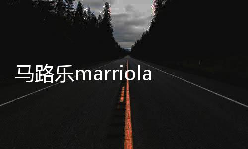 马路乐marriola汽车音响喇叭改装车载低音炮分频器套装汽车通用