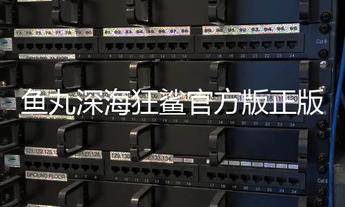 鱼丸深海狂鲨官方版正版2024