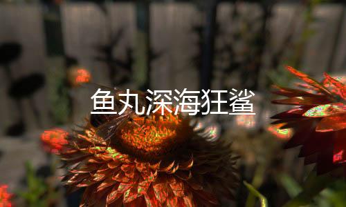 鱼丸深海狂鲨