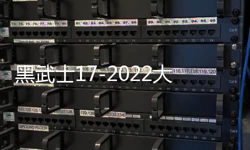 黑武士17-2022大众途观L丹当拿音响进口音响汽车音响原装喇叭高配