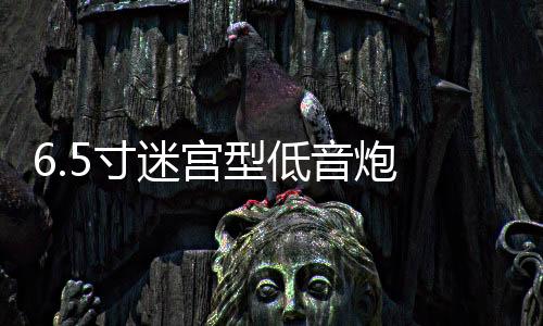 6.5寸迷宫型低音炮 木质 空箱体 功放汽车音响喇叭音箱外壳孔可改