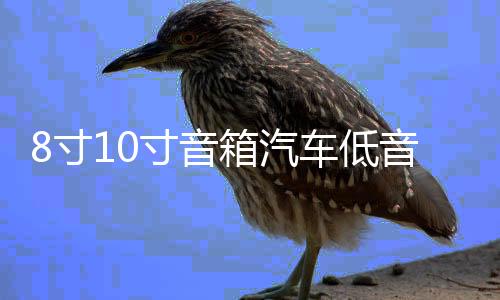 8寸10寸音箱汽车低音炮音响蓝牙12v24v220v车载重低音大功率家用