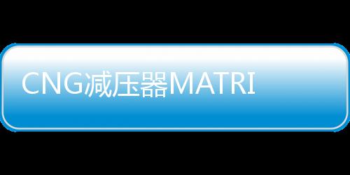CNG减压器MATRIX意大利原装进口cng汽车天然气配件油改气减压阀