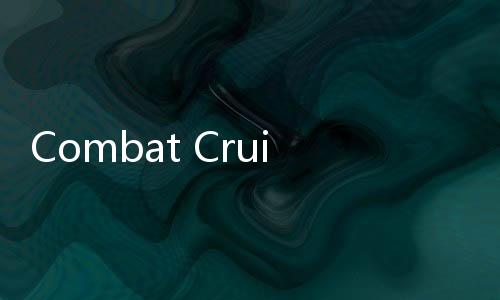 Combat Cruiser游戏
