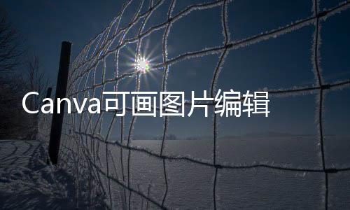 Canva可画图片编辑设计安卓版