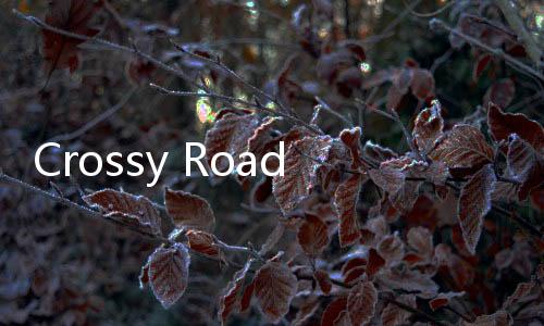 Crossy Road天天过马路游戏