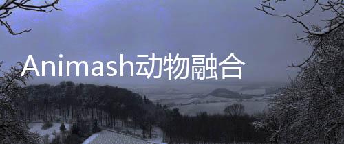 Animash动物融合模拟破解版