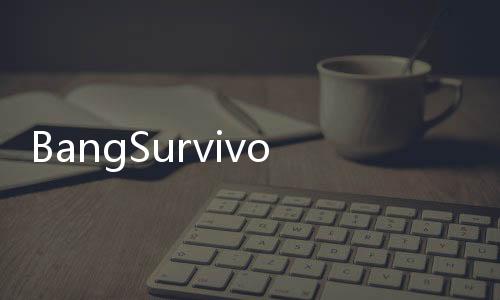 BangSurvivor向僵尸开炮国际服破解版