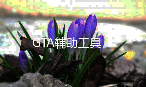 GTA辅助工具