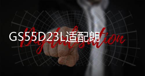 GS55D23L适配朗动伊兰特悦动天籁奇骏卡罗拉花冠普力马12V60A电瓶