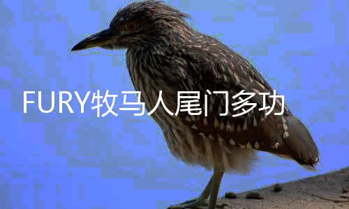 FURY牧马人尾门多功能平台改装汽车适用于JKjeep吉普唤醒个性配件