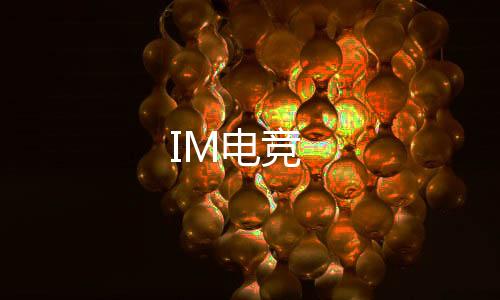 IM电竞