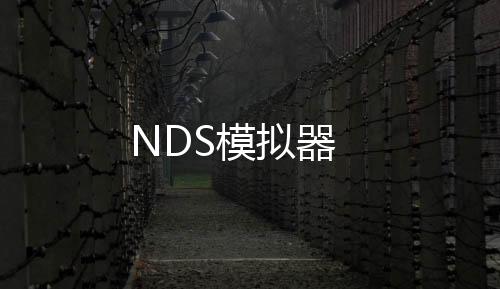 NDS模拟器