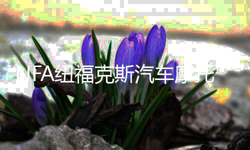 NFA纽福克斯汽车摩托车电瓶充电器12V数显全自动车载蓄电池充电机