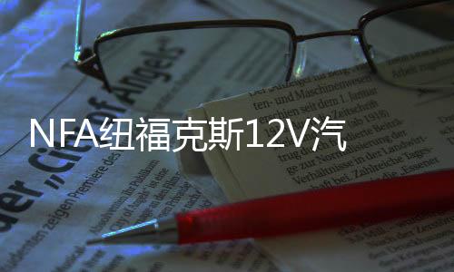 NFA纽福克斯12V汽车电瓶充电器大功率充满自停25A蓄电池充电机