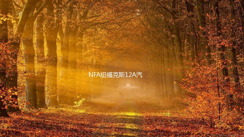 NFA纽福克斯12A汽车电瓶充电器12V数显车载蓄电池充电器电瓶修复