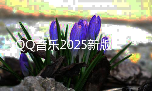 QQ音乐2025新版