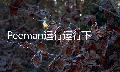 Peeman运行运行下载