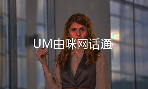 UM由咪网话通