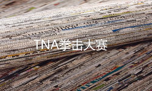 TNA拳击大赛