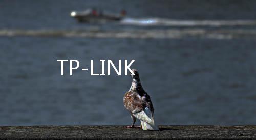 TP-LINK