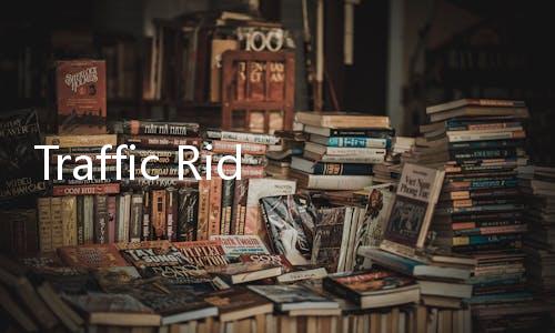Traffic Rider中文版破解版(公路骑手)