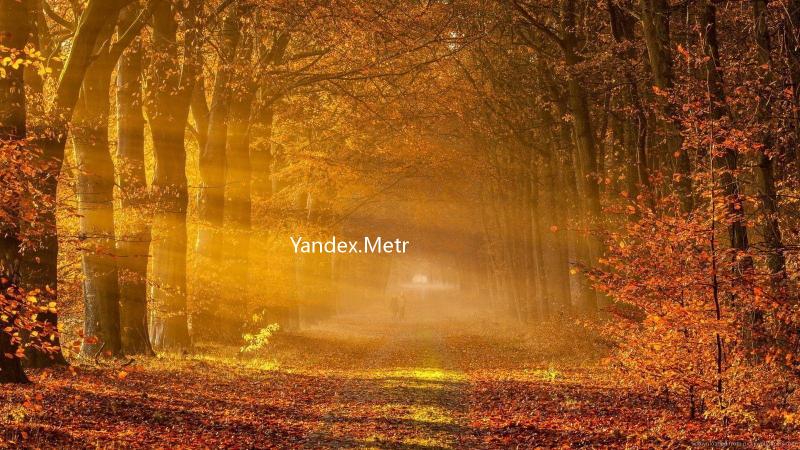 Yandex.Metro