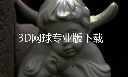 3D网球专业版下载