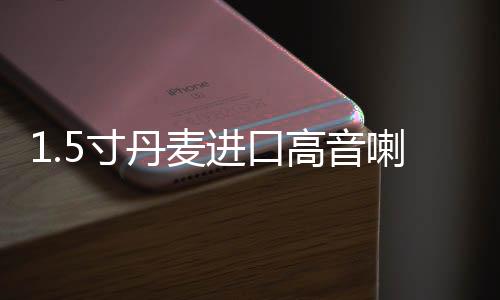 1.5寸丹麦进口高音喇叭二手拆车音响升级加装车载高音头发烧级