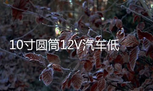 10寸圆筒12V汽车低音炮车载有源重低音炮220V插卡音响24V蓝牙音箱