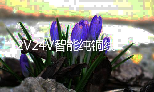 12V24V智能纯铜线包充电机汽车货车蓄电池电瓶充电器usb充电照明