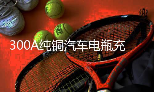 300A纯铜汽车电瓶充电器大功率货车叉车充电机6v12v24v智能通用