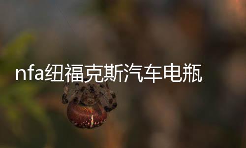 nfa纽福克斯汽车电瓶充电器大功率全自动智能12V蓄电池充电机修复