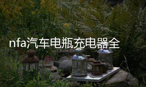 nfa汽车电瓶充电器全自动智能脉冲修复12V蓄电池通用大功率充电机